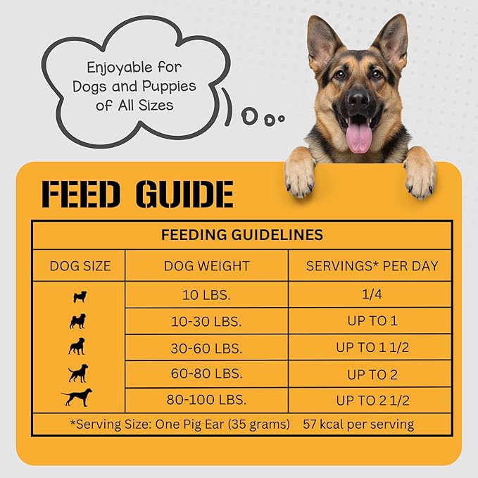 Dog Chits Pig Ears for Dogs – 100% Natural Baked Pig Ear Dog Treats & Training Chews – High Protein, Lower Fat, Grain-Free – Great for Puppies, Dental Support – Medium Size, 15 Pack – Made in USA