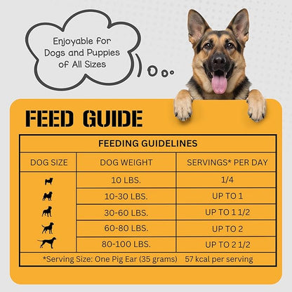 Dog Chits Pig Ears for Dogs – 100% Natural Baked Pig Ear Dog Treats & Training Chews – High Protein, Lower Fat, Grain-Free – Great for Puppies, Dental Support – Medium Size, 15 Pack – Made in USA