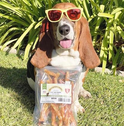Beef Tendons for Dogs. USA Made, Grass Fed, All Natural Dental Chews. Grain Free, Odor Free (8 OZ)