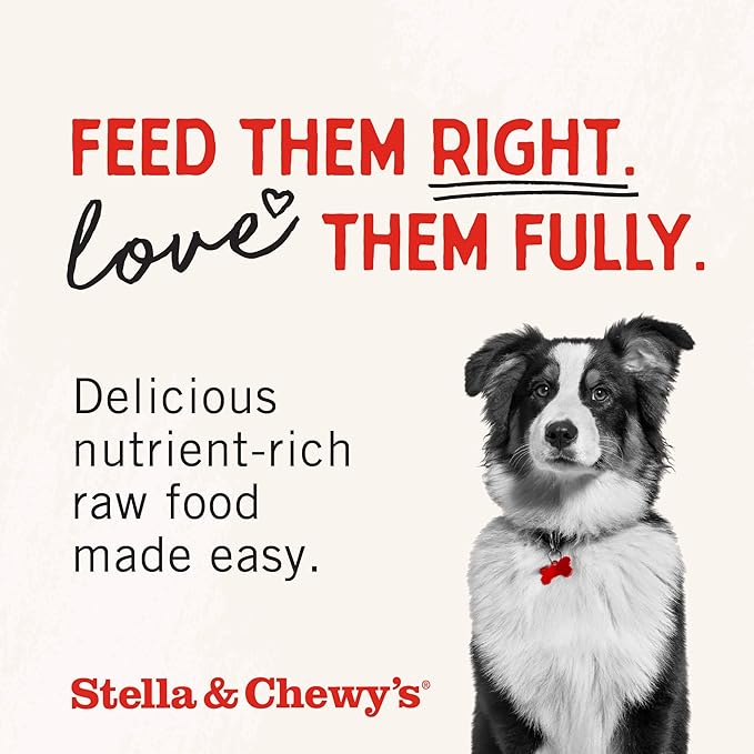Stella & Chewy's Freeze-Dried Raw Lamb Heart Dog Treats - Single Ingredient, No Additives - Premium Training Treats - Perfect For Picky Eaters - 3oz Bag