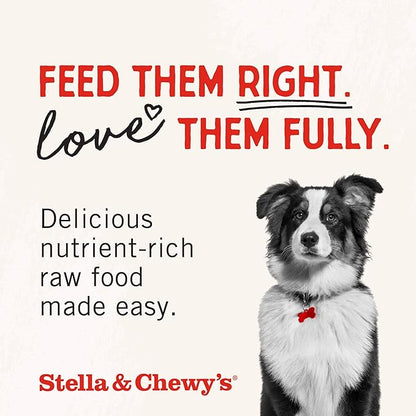 Stella & Chewy's Freeze-Dried Raw Lamb Heart Dog Treats - Single Ingredient, No Additives - Premium Training Treats - Perfect For Picky Eaters - 3oz Bag