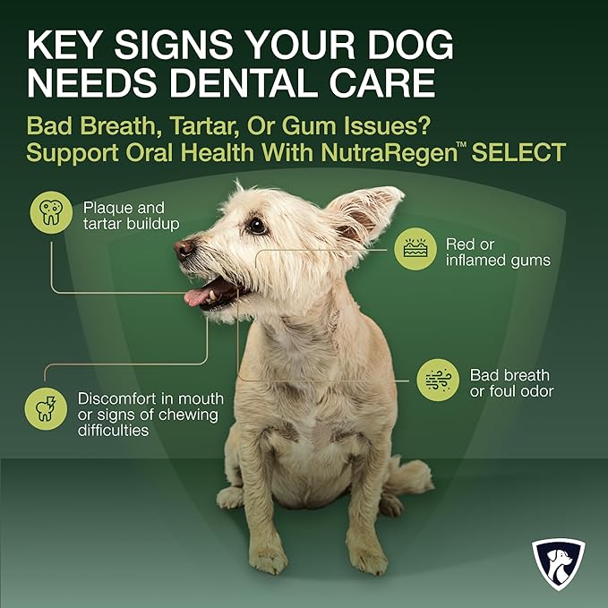 Select Senior Dog Dental Powder 30 Servings | Beef Flavored Dog Breath Freshener for Oral & Gum Health | Pet Dental Powder Helps Manage Plaque & Tartar Buildup and Chewing Issues | 4.6 Oz