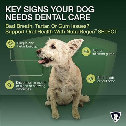 Select Senior Dog Dental Powder 30 Servings | Beef Flavored Dog Breath Freshener for Oral & Gum Health | Pet Dental Powder Helps Manage Plaque & Tartar Buildup and Chewing Issues | 4.6 Oz