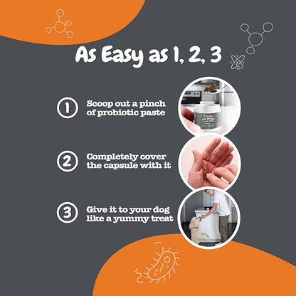 Zesty Paws NAD+ Precursor Supplement for Dogs - Niagen for Healthy Aging & Skeletal Muscle Support & Recovery - Brain, Heart, & Cellular Energy Support - Nicotinamide Riboside Chloride - 60 Capsules