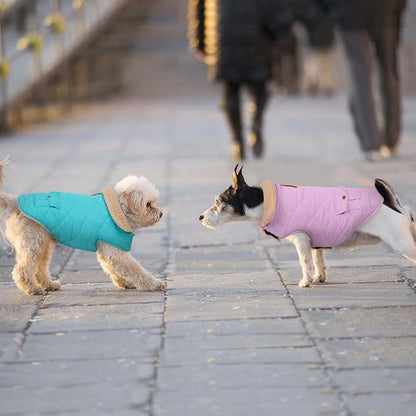 Winter Coat for Small Dogs, Puppy Plaid Jacket, Dog Jacket for Cold Weather, Windproof Warm Garments, Pets Thickened Outfits Indoor Outdoor, Blue S