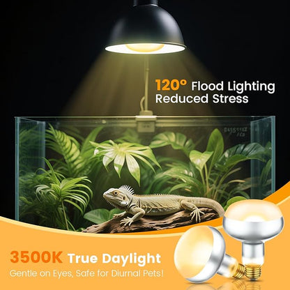 Dual Reptile Light Fixture with 100W Daytime Heat Bulb & 100W Nighttime Ceramic Heat Emitter, 2 Independent Switches, Reptile Heat Lamp Combo Pack - No UVB