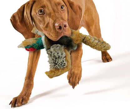 ALL FOR PAWS Dog Interactive Pheasant Toys, Squeaky Dog Toys, Stuffed Animal Dog Hunting Plush Toy, Large