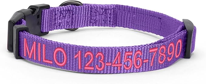 Pawtitas Personalized Dog Collar Medium Dog Collar Embroider with Name Phone Number Puppy Collar Adjustable Customized Collar for Medium Dogs Breeds Puppy Purple Dog Collar