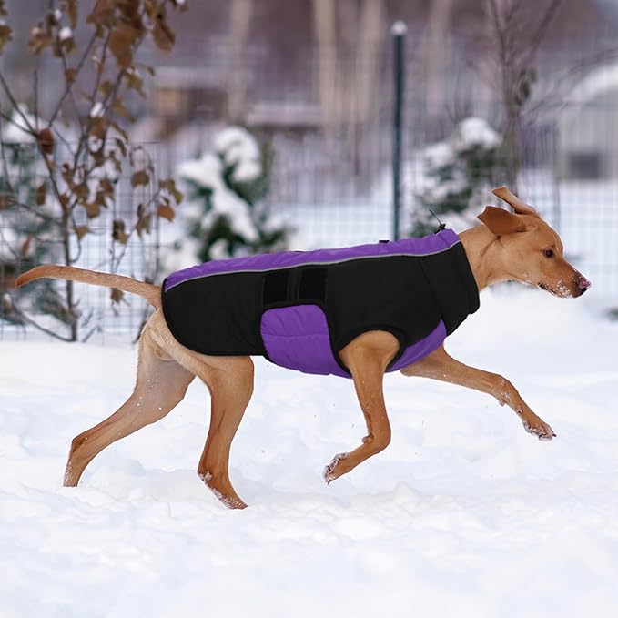 Kuoser Large Dog Coat, Winter Waterproof Dog Jackets for Large Dogs, Reflective Doggie Vest with Leash Hole, Cold Weather Coats Pet Snow Jacket for Labrador Beagle, Purple XXL