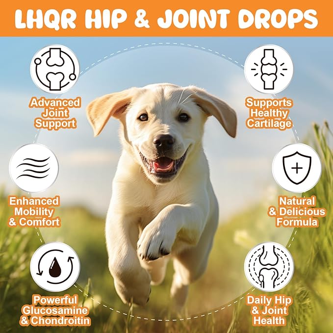 Liquid Glucosamine for Dogs, Chondroitin MSM Dog Drops for Hip & Joint Pain Relief, Joint Supplement Drops for Cats Mobility Support, Hip and Joint Liquid for Pets All Breeds Small Medium Large 60ml