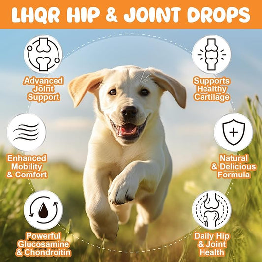Liquid Glucosamine for Dogs, Chondroitin MSM Dog Drops for Hip & Joint Pain Relief, Joint Supplement Drops for Cats Mobility Support, Hip and Joint Liquid for Pets All Breeds Small Medium Large 60ml