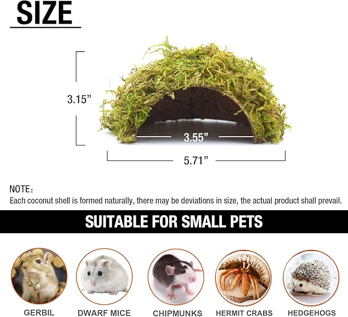 SanmooAio Hamster Hideaway/Hideout,Mossy Cave Hide,Hamster House/Hides,Hamster Cage Accessories for Gguinea Pig/Hedgehogs/Gliders/Rats/Mice and Other Small Animals(Set)