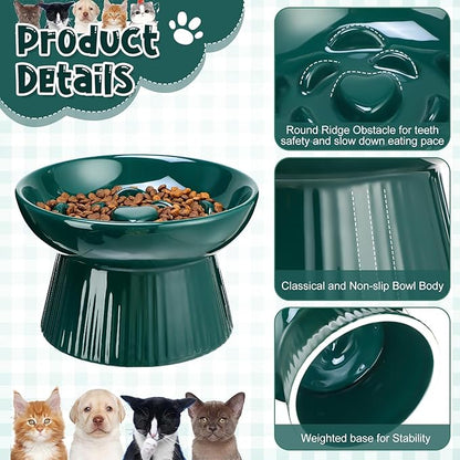 Tioncy 2 Pcs Raised Cat Slow Feeder Bowl Ceramic Elevated Cat Dog Food Bowl No Spill High Edge for Dry Wet Food and Water Easy to Clean, Dishwasher Safe(Dark Green, Blue)