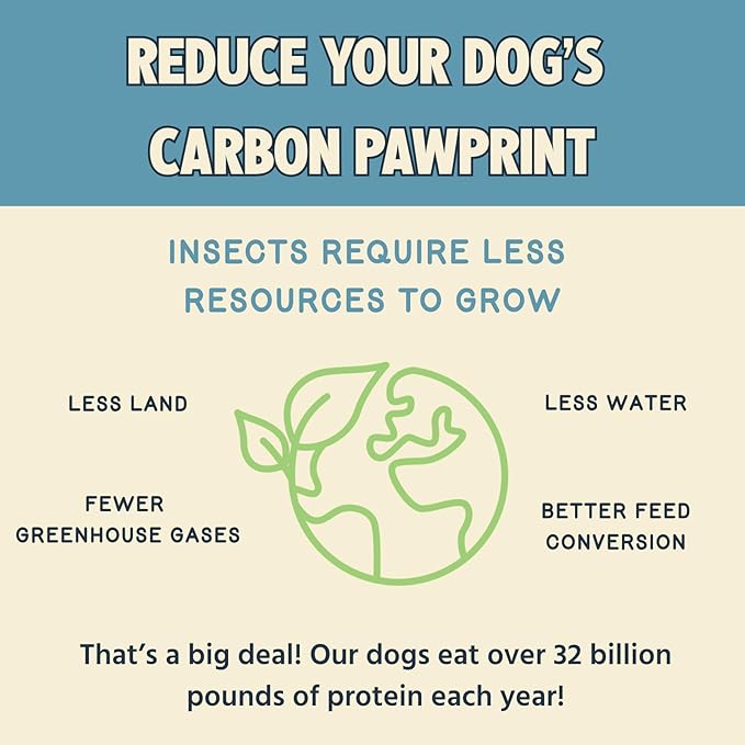 Jiminy's Chewy Training Treats for Dogs, Low Calorie, Hypoallergenic Insect Protein, Made in USA, 6oz, Peanut Butter & Cranberry (Pack of 1)