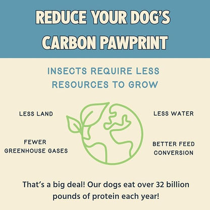 Jiminy's Chewy Training Treats for Dogs, Low Calorie, Hypoallergenic Insect Protein, Made in USA, 6oz, Peanut Butter & Cranberry (Pack of 1)