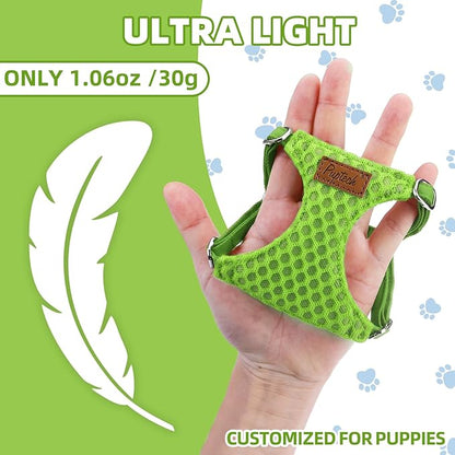 PUPTECK Dog Harness and Leash Set Small Sized, Step-in Cute Puppy Harness, Soft Lightweight Padded Vest, Escape Proof No Pull Pet Harnesses Easy for Walking, Green, XXS