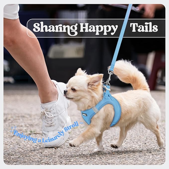 rabbitgoo Dog Harness Small Sized and Leash Set, Step in Soft Light Puppy Vest, Breathable Mesh Pet Harness, Reflective for Safe Easy Walking, Blue S
