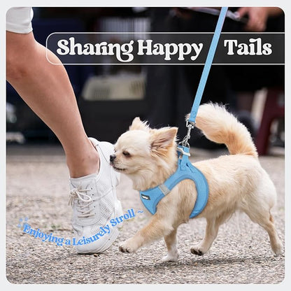 rabbitgoo Dog Harness Small Sized and Leash Set, Step in Soft Light Puppy Vest, Breathable Mesh Pet Harness, Reflective for Safe Easy Walking, Blue S