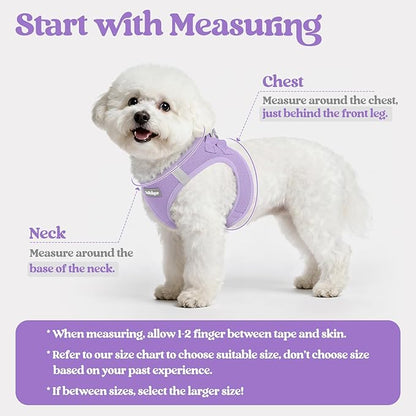rabbitgoo Dog Harness Small Sized and Leash Set, Step in Soft Light Puppy Vest, Breathable Mesh Pet Harness, Reflective for Safe Easy Walking, Light Purple XS
