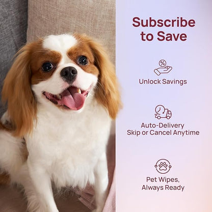 HICC PET Wipes for Dogs and Cats, Vet-Recommended Pets Cleaning Wipes, Deodorizing Hydrating, Nourishes Smoothes Fur, Fermented Coconut Oil Grooming Horse Skin, Coat & Hoof, Unscented, 100 Count