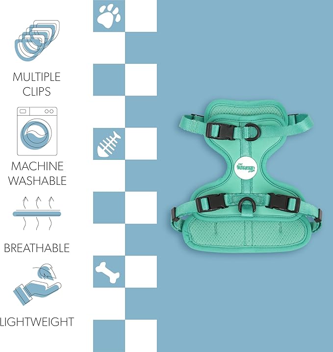HNS1001K Arlo Small Adjustable Soft Padded No Pull Pet Harness with 3 Buckles and 3 Leash Clips, Julep