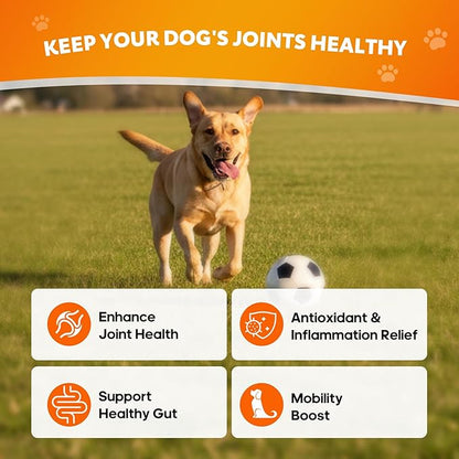 Hip and Joint Supplement for Dogs, Joint Pain Relief Supplement with MSM, Glucosamine, Chondroitin, Support Mobility, Health Chews for Dog, 120 Chews