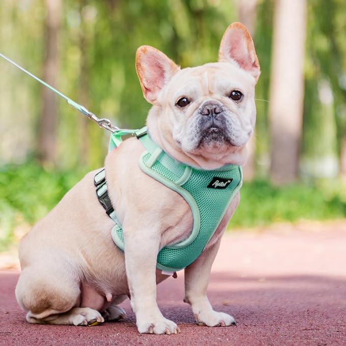 PUPTECK Small Dog Harness and Leash Set, No Pull Adjustable Puppy Cat Harness, Reflective Soft Mesh Pet Vest Small Sized