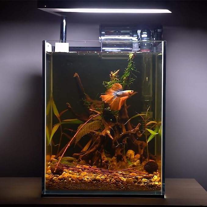 majoywoo Natural Driftwood for Aquarium Decor Fish Tank Decorations, Assorted Spider Wood Branch 4-8" 5 Pcs, Reptile Decor