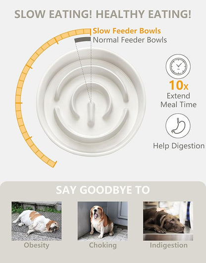 Ceramic Slow Feeder Dog Bowls, 0.6 Cup Slow Feeder for Small Dogs and Cats, Puzzle Maze Bowl, Prevents Choking, 6in, White