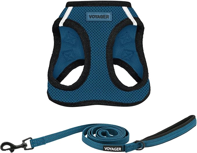 Voyager Step-in Air All Weather Mesh Harness and Reflective Dog 5 ft Leash Combo with Neoprene Handle, for Small, Medium and Large Breed Puppies by Best Pet Supplies - Blue/Black Trim, X-Small