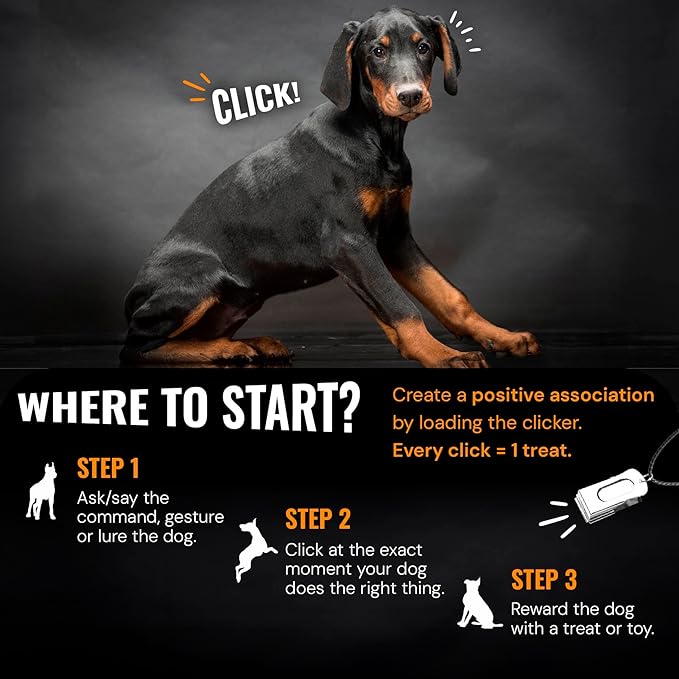 White Dog Clicker with Necklace - Clickers for Pet Training - Dog Training & Behavior Aids Easy to Carry with You Anywhere - Teach Your Dog Tricks or Reward His Behavior