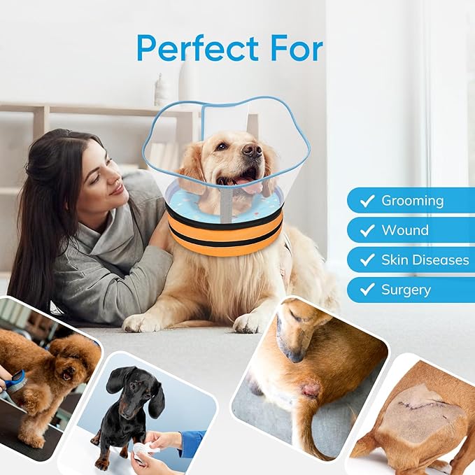 Sponge Dog Cone Collar, Dog Recovery Collar Alternative with Detachable High Clear Shield, Adjustable Soft Neck Cone for Small Medium Large Dogs, Stop Licking After Surgery ((DonutBlue,S)