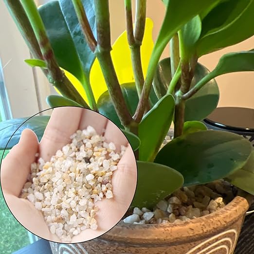 1 LB Fine Natural Silsand, Coarse Silica Sand for Plants, Aquariums, Fire Pits, Terrariums, Cactus and Succulent Plants & Garden Sand Grit