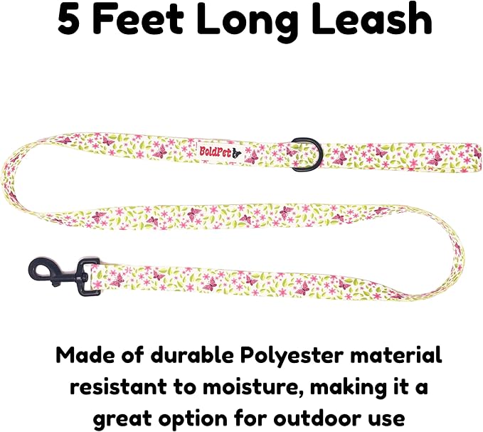 Dog Collar and Leash Set - Durable Polyester Material -Adjustable -Safe Metal Buckle-Cute Summer Dog Leash and Collar Set for Small, Medium and Large Dogs