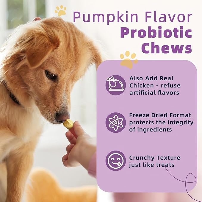 ZEBORA Probiotics for Dogs, Dog Probiotics for Digestive Health, with Pumpkin, Digestive Enzymes, Omega-3, Support Gut, Immune Health, Upset Stomach Relief, Occasional Diarrhea, 120 Freeze Dried Chews