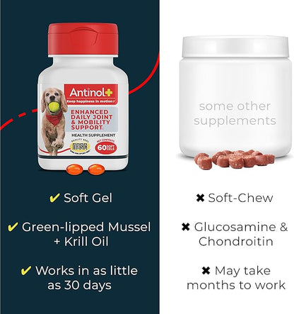 Antinol Plus, Mobility, Hip, and Joint Supplement for Dogs, Green-Lipped Mussels and Krill Oil - Dog Joint Supplement, Better and Faster Than Glucosamine and Chondroitin, 180 Soft Gels