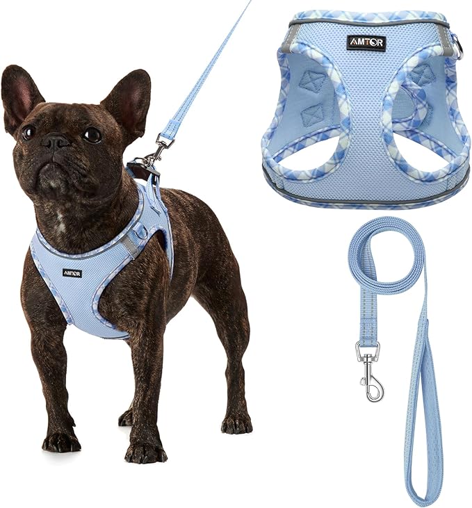AMTOR Small Dog Harness with Leash Set, No Escape Easy Walk Puppy Harnesses for Training Walking, Step-in Reflective Soft Dogs Vest for XS S Medium Extra-Small Large Sized Dog(XS Size,Blue/White)