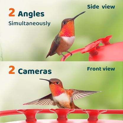 Birdfy Hummingbird Feeder with Dual Cameras AI Identify - 2K HD Smart Cameras, Close-Up Bird Video/Live Watching & Instant Notifications, Ant Moat & Leakproof - 20oz (Lifetime AI)