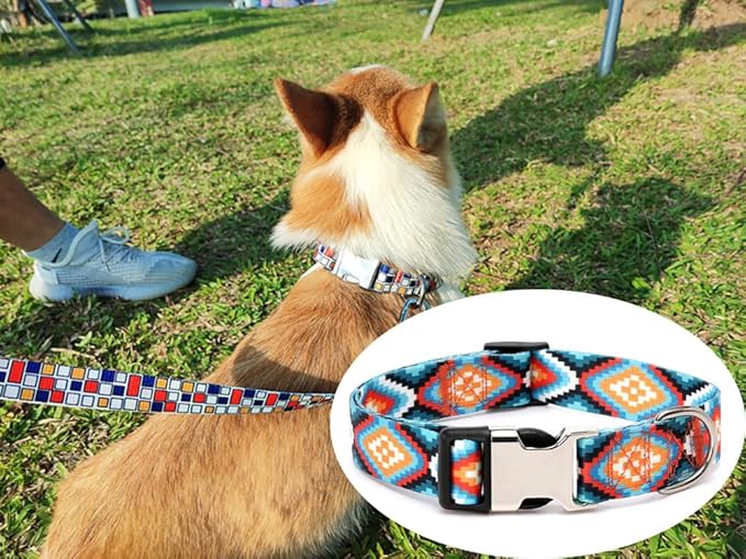 Dog Collar and Leash Set, Quick Release Buckle Soft Durable Print Puppy Collars Adjustable for Small Medium Large Pet Male Dogs Boy Cat Rainbow M