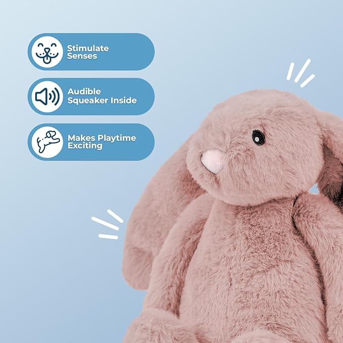 Best Pet Supplies Interactive Squeaky Dog Chew Toy, Ideal Dog Toys for Chewers, Small, Medium & Large Dogs, and Fetch Lovers - Bunny (Mauve), Medium