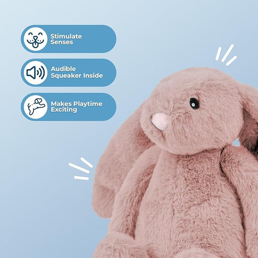 Best Pet Supplies Interactive Squeaky Dog Chew Toy, Ideal Dog Toys for Chewers, Small, Medium & Large Dogs, and Fetch Lovers - Bunny (Mauve), Small