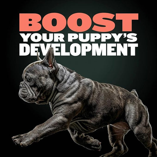 Bully Max Puppy Training Treats - Soft Chews Dog Food Supplements & Vitamins for Brain, Skin & Coat Health - Glucosamine & Chondroitin for Joint Support – Multivitamin Food Topper for Puppies - 2 Bags