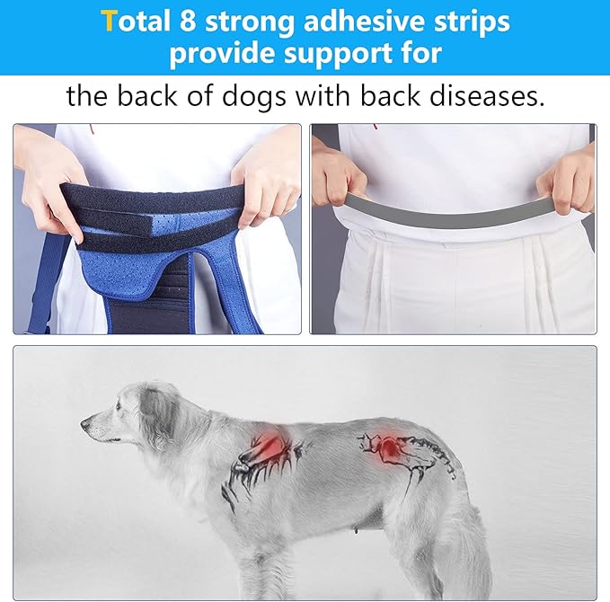 Coodeo Dog Back Brace for Dogs Arthritis, Pet Back Bracer for IVDD, Back Protector Helps Pain Relief, Surgical Recovery and Rehabilitation, Dogs Back Disease Prevention. (Black,X-Large)