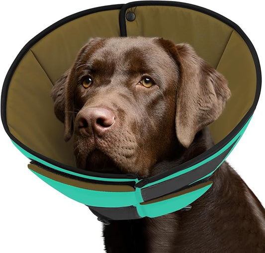 Queenmore Soft Cone for Dogs After Surgery, Dog Cones for Large Dogs to Stop Licking, Soft Dog Cone, Elizabethan Collar for Pets, Alternative Pet Recovery Collar for Wound Healing, Green L