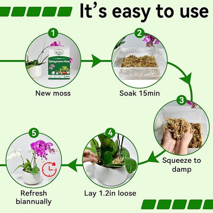 ZeeDix 3QT Natural Sphagnum Moss for Plants, Orchid Moss Potting Mix for Repotting, High Water Retention, Help with Maintain Humidity, Plant Moss for Gardening, Hanging Baskets, Reptile Bedding