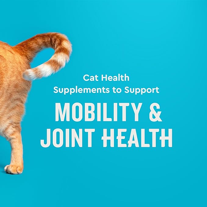 VetIQ Cat Hip & Joint Supplement, Chicken Flavored Cat Supplement with Glucosamine and Green Lipped Mussel for Mobility and Arthritis Support, 3.7oz