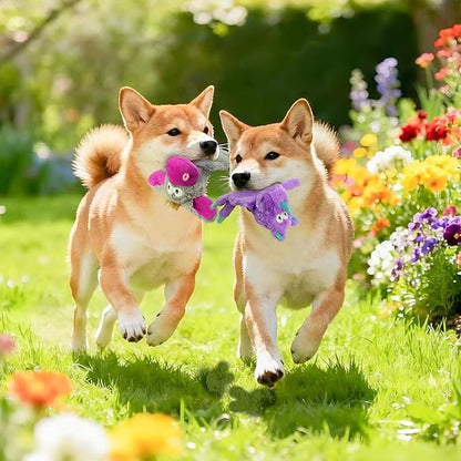 Squeaky Dog Toys, No Stuffing 5 Pack Crinkle Dog Toy for Small,Medium Large Dogs, Not for Aggressive Chewers, Indoor Outdoor Training,Dog,Donkey,Cow,Rhino,Hipo.