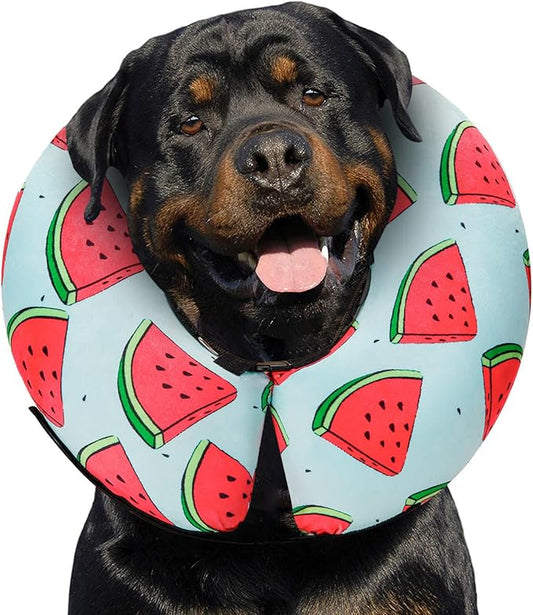 MIDOG Inflatable Dog Cone Alternative for After Surgery - Soft Protective Donut Collar Prevents Licking, Comfortable Recovery E-Collar Alternative for Small Medium Large Dogs (Watermelon,XL)