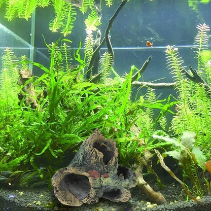 Tfwadmx Decaying Trunk Aquarium Ornament, Betta Fish Hideout - Small Resin Aquarium Decoration Log with Holes & Caves