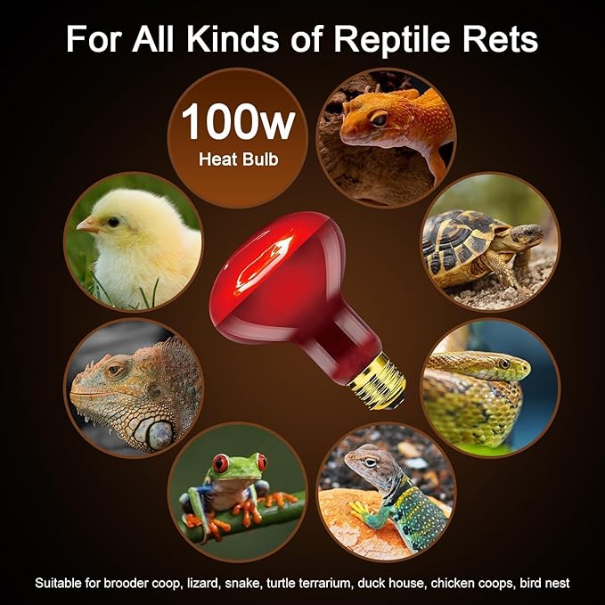 MISDOOD Red Reptile Heat Lamp Bulb 100W, Infrared Heat Emitter Red Heat Lamp for Reptile Amphibian, Infrared Basking Spot Light Bulb 2PCS
